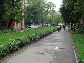 Әйелді ұрып-соғу видеосы